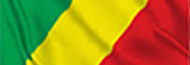 flag of the congo_brazzaville